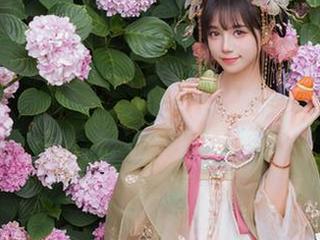 樱之浪漫，贰加六把春天好好拍了一场：图库大集合