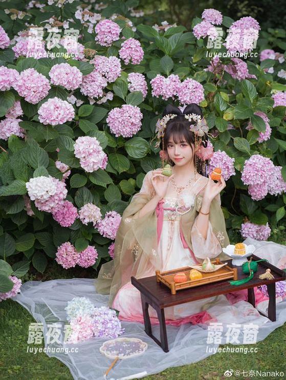 樱之浪漫，贰加六把春天好好拍了一场：图库大集合